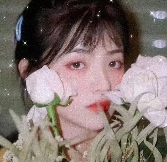 绝命凯特